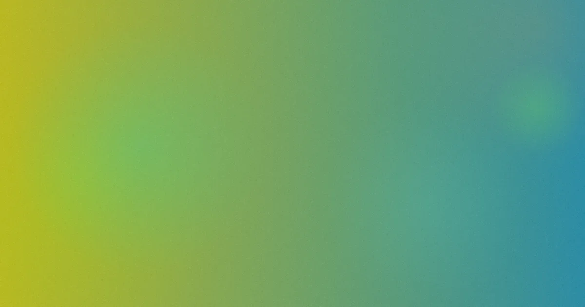 邻家索菲推荐：新手这样选